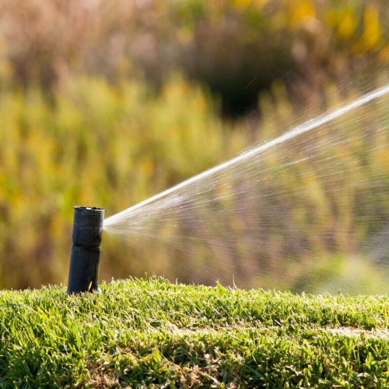 Smart Homeowner’s Guide to Hiring a Sprinkler Repair Specialist