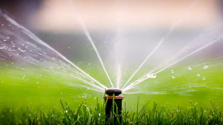 How to Choose the Right Sprinkler Repair Company in Albuquerque