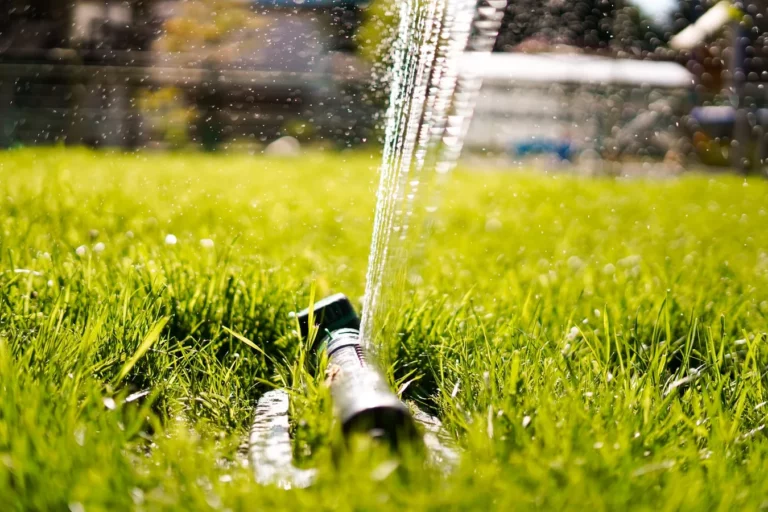 Keep Your Sprinkler System in Top Condition with Professional Maintenance Services