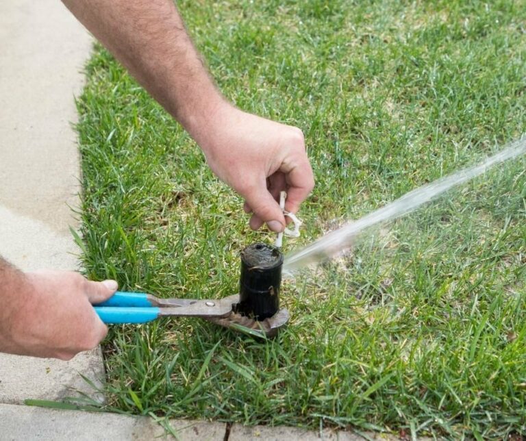 Protect Your Sprinkler System from the Harsh Albuquerque Winter